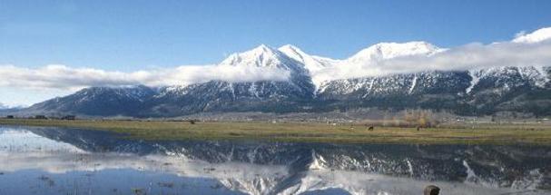 f833ff7fd10e1a6d7799344ae883b939